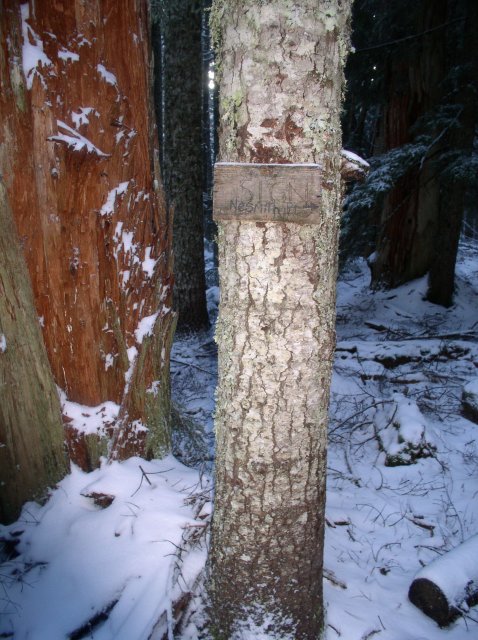 11.27.05 Nesmith Point 078 